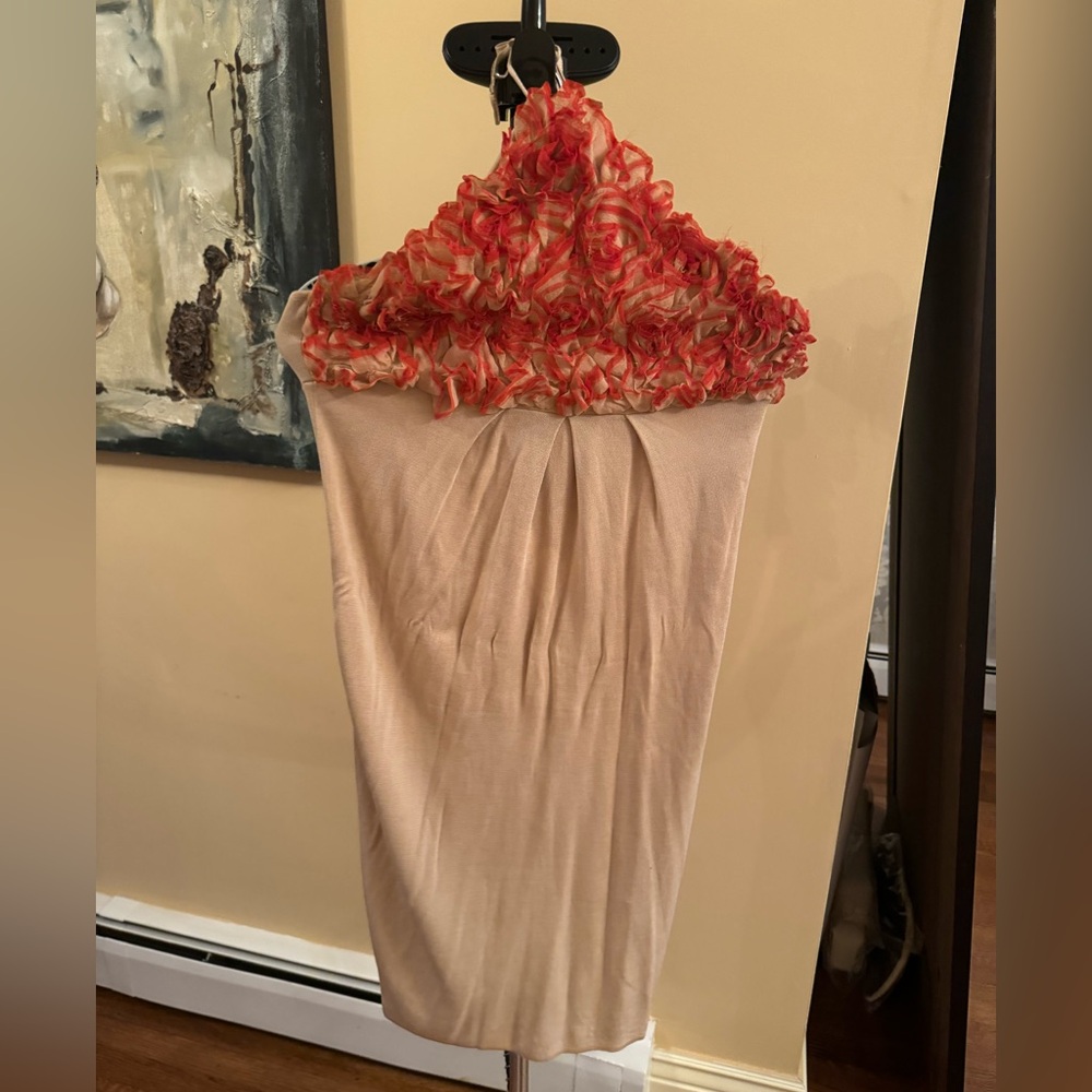 giambattista valli dress